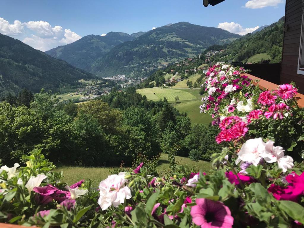 Landhaus Schoenblick ラーデンタイン エクステリア 写真